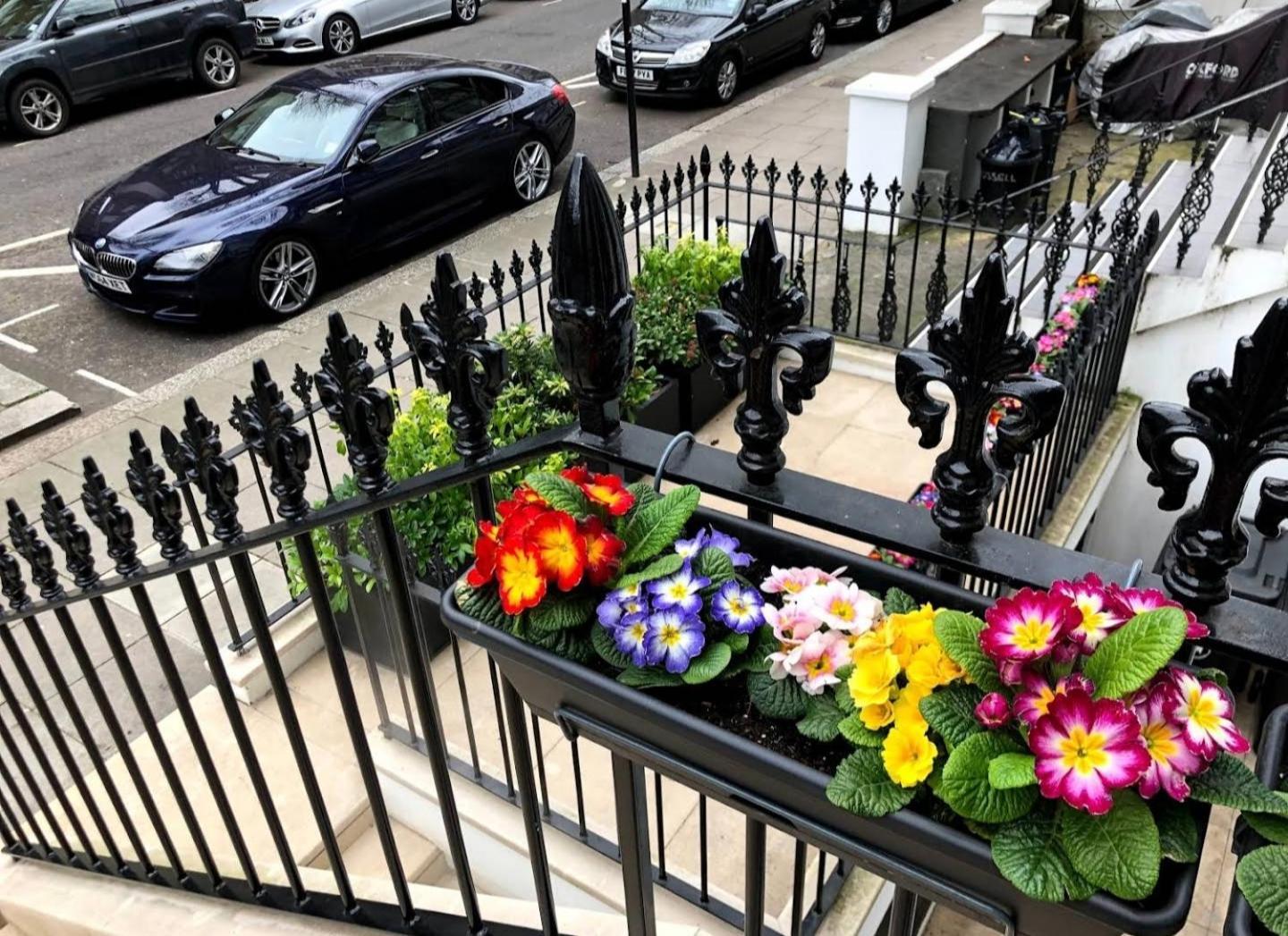 Sunny 1 Bedroom Flat In Central Londres Exterior foto